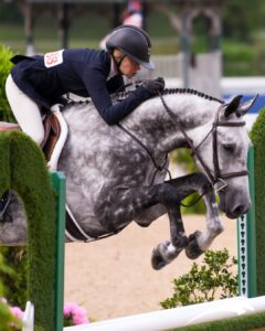 CA Renard Du Rouet – Sold – Renamed Silver Lining